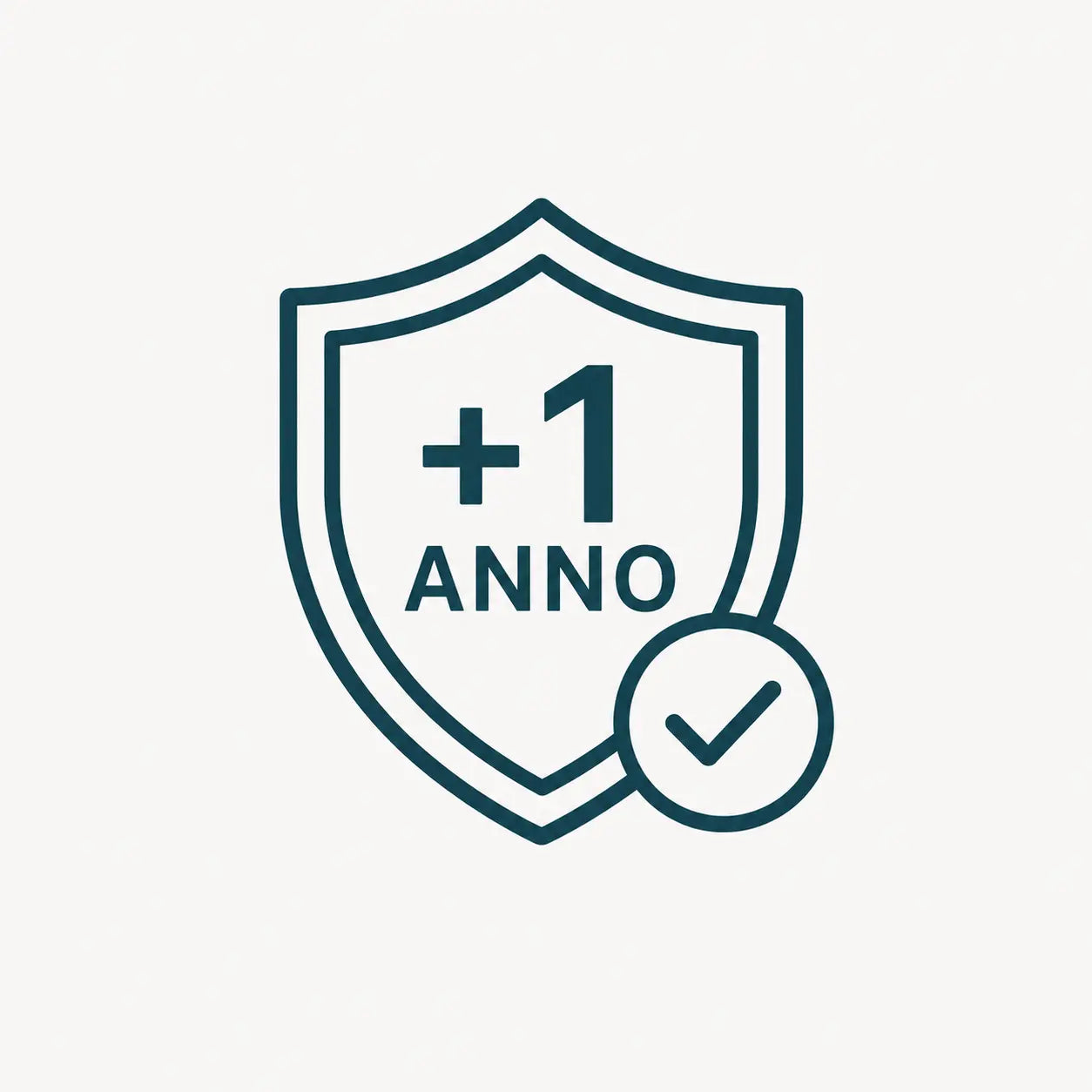 +1 Anno di Garanzia
